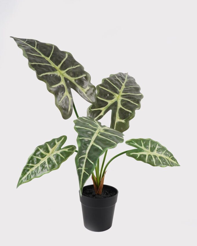 Artificial Table Plants 60*46*50cm Alocasia in PP pot GS-03325034 2025JUL YeahFlower is one of Chinese leading OEM manufacturers and exporters , supplying the silk flowers, wholesale artificial trees