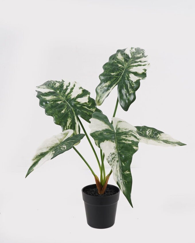 Artificial Table Plants 60*46*50cm Alocasia in PP pot GS-03325034 2025JUL YeahFlower is one of Chinese leading OEM manufacturers and exporters , supplying the silk flowers, wholesale artificial trees