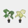 Artificial Table Plants 52*42*50cm Alocasia in PP pot GS-03325035 2025JUL YeahFlower is one of Chinese leading OEM manufacturers and exporters , supplying the silk flowers, wholesale artificial trees