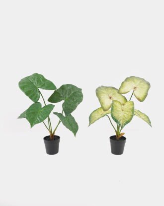 Artificial Table Plants 52*42*50cm Alocasia in PP pot GS-03325035