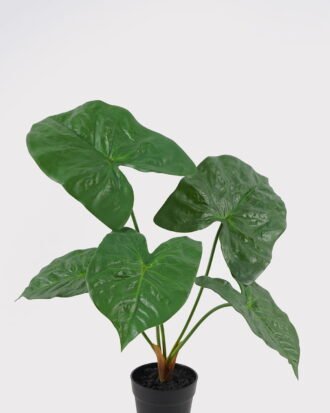 Artificial Table Plants 52*42*50cm Alocasia in PP pot GS-03325035 2025JUL YeahFlower is one of Chinese leading OEM manufacturers and exporters , supplying the silk flowers, wholesale artificial trees Artificial Table Plants 52*42*50cm Alocasia in PP pot GS-03325035 2025JUL YeahFlower is one of Chinese leading OEM manufacturers and exporters , supplying the silk flowers, wholesale artificial trees