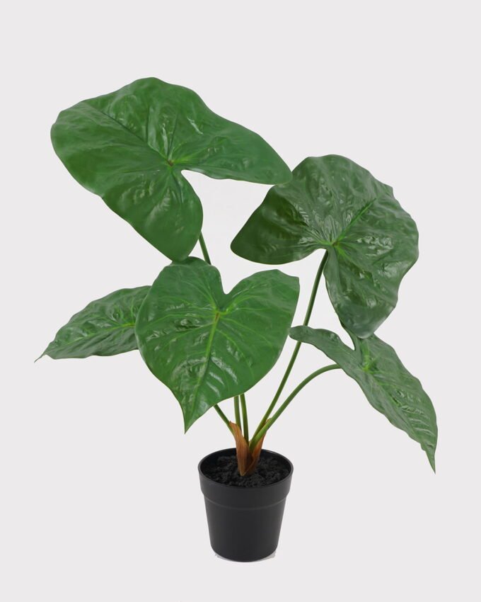 Artificial Table Plants 52*42*50cm Alocasia in PP pot GS-03325035 2025JUL YeahFlower is one of Chinese leading OEM manufacturers and exporters , supplying the silk flowers, wholesale artificial trees