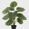 Artificial Table Plants Alocasia in PP pot GS-03325039_5 Artificial Table Plants 50*50*60cm Alocasia in PP pot GS-03325039 2025JUL YeahFlower is one of Chinese leading OEM manufacturers and exporters , supplying the silk flowers, wholesale artificial trees