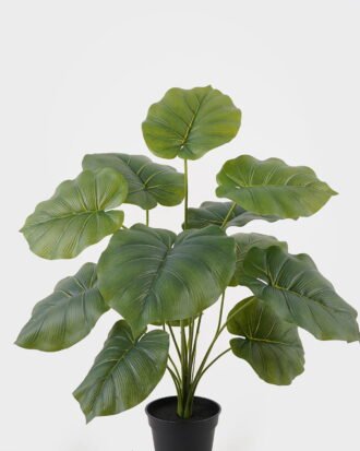 Artificial Table Plants 50*50*60cm Alocasia in PP pot GS-03325039 2025JUL YeahFlower is one of Chinese leading OEM manufacturers and exporters , supplying the silk flowers, wholesale artificial trees