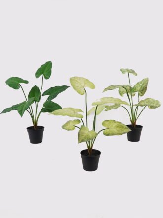 Artificial Table Plants 50*50*57cm Montera in PP pot GS-03325033 2025JUL 3,000+ sqm showroom with thousands of artificial flowers, plants & trees ready for global sourcing.