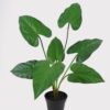 Artificial Table Plants Anthurium Leaf in PP pot GS-03325032_3 Artificial Table Plants 48*48*56cm Anthurium Leaf in PP pot GS-03325032 2025JUL YeahFlower is one of Chinese leading OEM manufacturers and exporters , supplying the silk flowers, wholesale artificial trees
