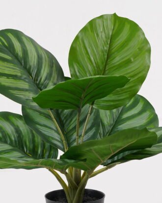 Artificial Table Plants 28*28*39cm Apple leaf in PP pot/9 lvs GS-73225002 2025SEP YeahFlower is one of Chinese leading OEM manufacturers and exporters , supplying the silk flowers, wholesale artificial trees Artificial Table Plants 28*28*39cm Apple leaf in PP pot/9 lvs GS-73225002 2025SEP YeahFlower is one of Chinese leading OEM manufacturers and exporters , supplying the silk flowers, wholesale artificial trees