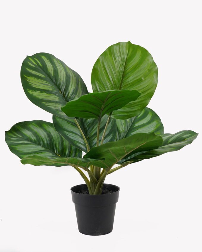Artificial Table Plants 28*28*39cm Apple leaf in PP pot/9 lvs GS-73225002 2025SEP YeahFlower is one of Chinese leading OEM manufacturers and exporters , supplying the silk flowers, wholesale artificial trees
