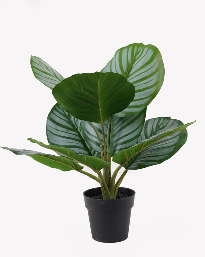 Artificial Table Plants 28*28*39cm Apple leaf in PP pot/9 lvs GS-73225002 2025SEP YeahFlower is one of Chinese leading OEM manufacturers and exporters , supplying the silk flowers, wholesale artificial trees