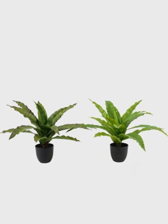 Artificial Table Plants 50*50*60cm Alocasia in PP pot GS-03325039 2025JUL 3,000+ sqm showroom with thousands of artificial flowers, plants & trees ready for global sourcing.