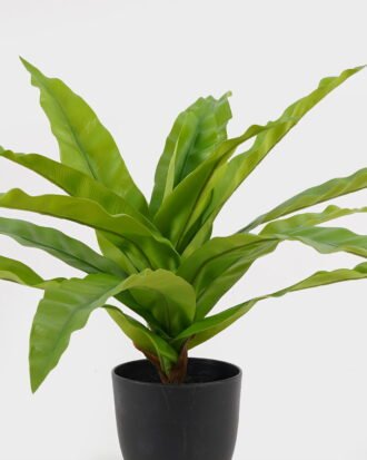 Artificial Table Plants 58*58*40cm Asplenium nidus in PP pot GS-03325038 2025JUL YeahFlower is one of Chinese leading OEM manufacturers and exporters , supplying the silk flowers, wholesale artificial trees