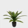 Artificial Table Plants Asplenium nidus in PP pot GS-03325038_4 Artificial Table Plants 58*58*40cm Asplenium nidus in PP pot GS-03325038 2025JUL YeahFlower is one of Chinese leading OEM manufacturers and exporters , supplying the silk flowers, wholesale artificial trees