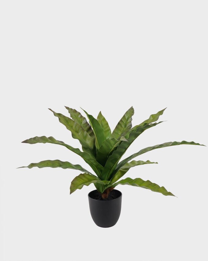 Artificial Table Plants Asplenium nidus in PP pot GS-03325038_4 Artificial Table Plants 58*58*40cm Asplenium nidus in PP pot GS-03325038 2025JUL YeahFlower is one of Chinese leading OEM manufacturers and exporters , supplying the silk flowers, wholesale artificial trees