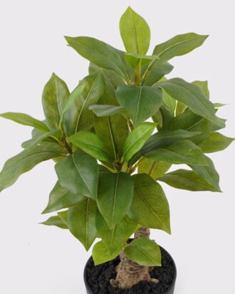 Artificial Table Plants 22*22*50cm Bay leaf in pp pot GS-46725048 2025JUL YeahFlower is one of Chinese leading OEM manufacturers and exporters , supplying the silk flowers, wholesale artificial trees Artificial Table Plants 22*22*50cm Bay leaf in pp pot GS-46725048 2025JUL YeahFlower is one of Chinese leading OEM manufacturers and exporters , supplying the silk flowers, wholesale artificial trees