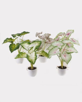 Artificial Table Plants 52*46*55cm Caladium in PP pot GS-03325022 2025JUL YeahFlower is one of Chinese leading OEM manufacturers and exporters , supplying the silk flowers, wholesale artificial trees