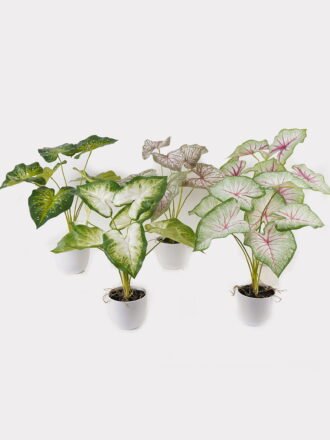 Artificial Table Plants 52*46*55cm Monstera in PP pot GS-03325023 2025JUL 3,000+ sqm showroom with thousands of artificial flowers, plants & trees ready for global sourcing.