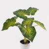 Artificial Table Plants 52*46*55cm Caladium in PP pot GS-03325022 2025JUL YeahFlower is one of Chinese leading OEM manufacturers and exporters , supplying the silk flowers, wholesale artificial trees