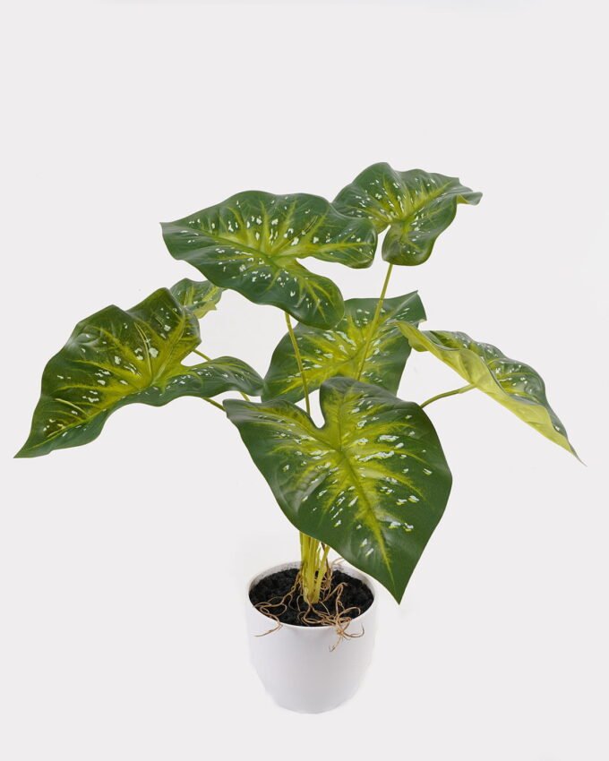 Artificial Table Plants 52*46*55cm Caladium in PP pot GS-03325022 2025JUL YeahFlower is one of Chinese leading OEM manufacturers and exporters , supplying the silk flowers, wholesale artificial trees