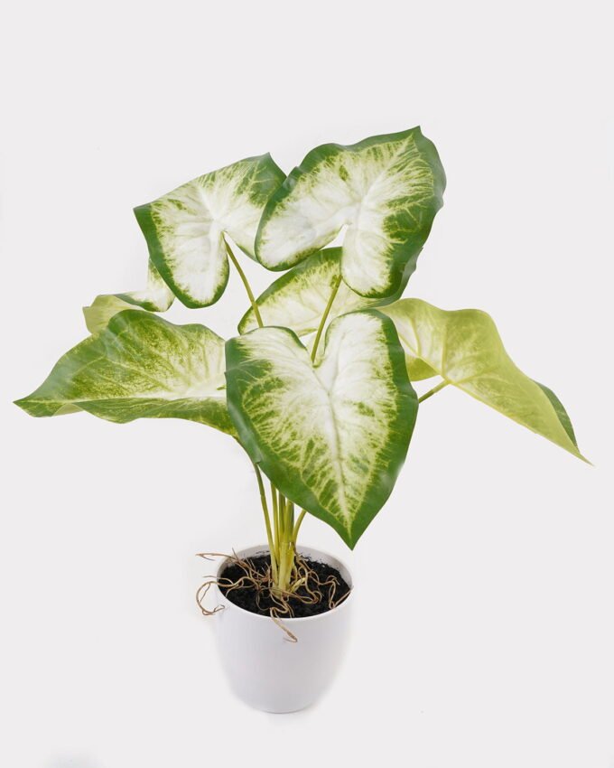 Artificial Table Plants 52*46*55cm Caladium in PP pot GS-03325022 2025JUL YeahFlower is one of Chinese leading OEM manufacturers and exporters , supplying the silk flowers, wholesale artificial trees
