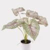 Artificial Table Plants 52*46*55cm Caladium in PP pot GS-03325022 2025JUL YeahFlower is one of Chinese leading OEM manufacturers and exporters , supplying the silk flowers, wholesale artificial trees
