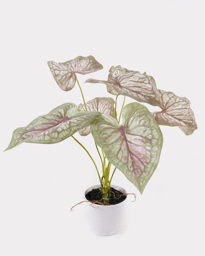 Artificial Table Plants 52*46*55cm Caladium in PP pot GS-03325022 2025JUL YeahFlower is one of Chinese leading OEM manufacturers and exporters , supplying the silk flowers, wholesale artificial trees