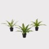 Artificial Table Plants Dracaena in PP pot GS-03325036_2 Artificial Table Plants 50*50*30cm Dracaena in PP pot GS-03325036 2025JUL YeahFlower is one of Chinese leading OEM manufacturers and exporters , supplying the silk flowers, wholesale artificial trees