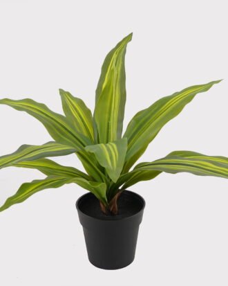 Artificial Table Plants 50*50*30cm Dracaena in PP pot GS-03325036 2025JUL YeahFlower is one of Chinese leading OEM manufacturers and exporters , supplying the silk flowers, wholesale artificial trees
