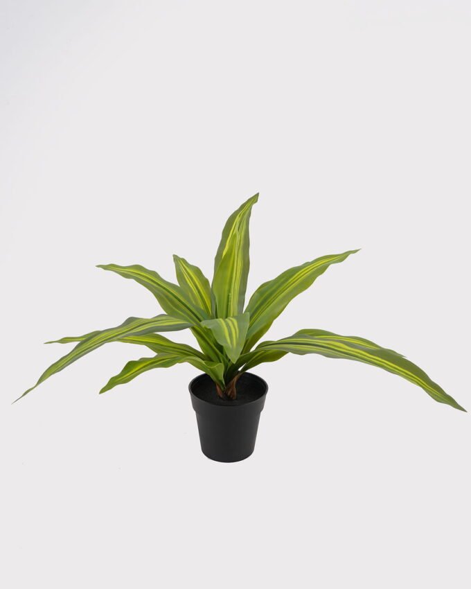 Artificial Table Plants Dracaena in PP pot GS-03325036_4 Artificial Table Plants 50*50*30cm Dracaena in PP pot GS-03325036 2025JUL YeahFlower is one of Chinese leading OEM manufacturers and exporters , supplying the silk flowers, wholesale artificial trees