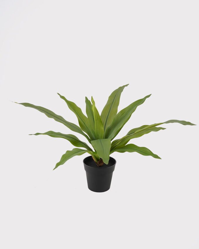 Artificial Table Plants Dracaena in PP pot GS-03325036_5 Artificial Table Plants 50*50*30cm Dracaena in PP pot GS-03325036 2025JUL YeahFlower is one of Chinese leading OEM manufacturers and exporters , supplying the silk flowers, wholesale artificial trees