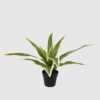 Artificial Table Plants Dracaena in PP pot GS-03325036_6 Artificial Table Plants 50*50*30cm Dracaena in PP pot GS-03325036 2025JUL YeahFlower is one of Chinese leading OEM manufacturers and exporters , supplying the silk flowers, wholesale artificial trees