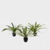 Artificial Table Plants Dracaena in PP pot GS-03325037_1 Artificial Table Plants 100*100*48cm Dracaena in PP pot GS-03325037 2025JUL YeahFlower is one of Chinese leading OEM manufacturers and exporters , supplying the silk flowers, wholesale artificial trees