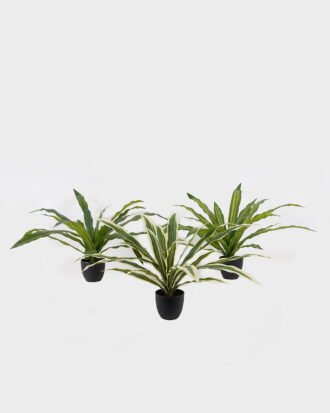 Artificial Table Plants 100*100*48cm Dracaena in PP pot GS-03325037 2025JUL YeahFlower is one of Chinese leading OEM manufacturers and exporters , supplying the silk flowers, wholesale artificial trees