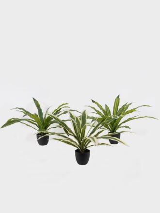 Artificial Table Plants 58*58*40cm Asplenium nidus in PP pot GS-03325038 2025JUL 3,000+ sqm showroom with thousands of artificial flowers, plants & trees ready for global sourcing.