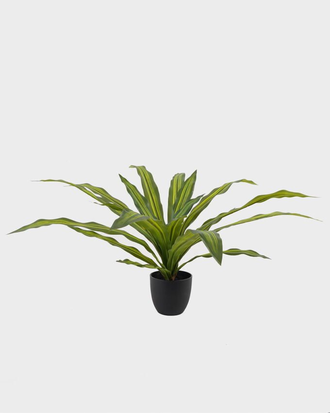 Artificial Table Plants Dracaena in PP pot GS-03325037_3 Artificial Table Plants 100*100*48cm Dracaena in PP pot GS-03325037 2025JUL YeahFlower is one of Chinese leading OEM manufacturers and exporters , supplying the silk flowers, wholesale artificial trees