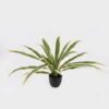 Artificial Table Plants Dracaena in PP pot GS-03325037_4 Artificial Table Plants 100*100*48cm Dracaena in PP pot GS-03325037 2025JUL YeahFlower is one of Chinese leading OEM manufacturers and exporters , supplying the silk flowers, wholesale artificial trees
