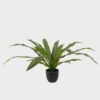 Artificial Table Plants Dracaena in PP pot GS-03325037_5 Artificial Table Plants 100*100*48cm Dracaena in PP pot GS-03325037 2025JUL YeahFlower is one of Chinese leading OEM manufacturers and exporters , supplying the silk flowers, wholesale artificial trees