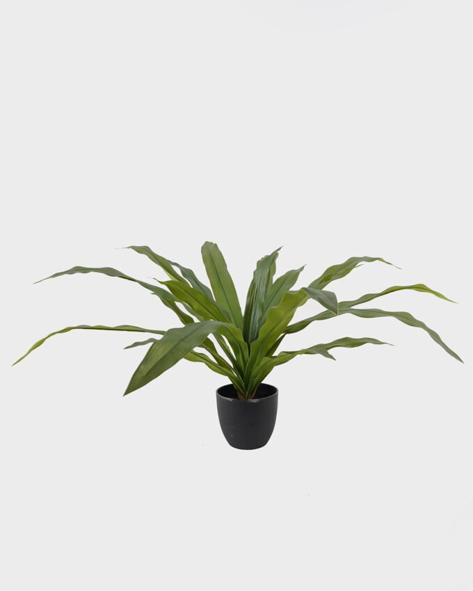 Artificial Table Plants Dracaena in PP pot GS-03325037_5 Artificial Table Plants 100*100*48cm Dracaena in PP pot GS-03325037 2025JUL YeahFlower is one of Chinese leading OEM manufacturers and exporters , supplying the silk flowers, wholesale artificial trees