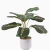 Artificial Table Plants 35*35*42cm Dragon bone leaves in pp pot GS-70125008 2025SEP YeahFlower is one of Chinese leading OEM manufacturers and exporters , supplying the silk flowers, wholesale artificial trees
