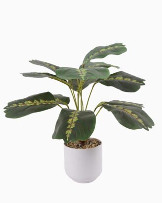 Artificial Table Plants 35*35*42cm Dragon bone leaves in pp pot GS-70125008
