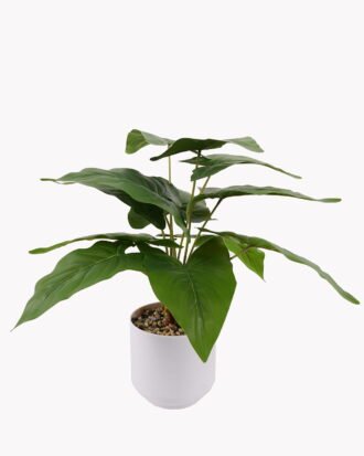 Artificial Table Plants 37*37*42cm Epipremnum aureum in pp pot GS-70125010 2025SEP YeahFlower is one of Chinese leading OEM manufacturers and exporters , supplying the silk flowers, wholesale artificial trees Artificial Table Plants 37*37*42cm Epipremnum aureum in pp pot GS-70125010 2025SEP YeahFlower is one of Chinese leading OEM manufacturers and exporters , supplying the silk flowers, wholesale artificial trees