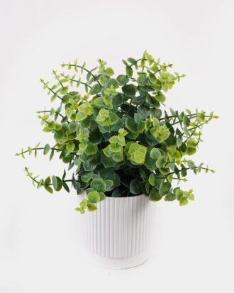 Artificial Table Plants 24*24*30cm Eucalyptus in PP pot GS-79925014 2025SEP YeahFlower is one of Chinese leading OEM manufacturers and exporters , supplying the silk flowers, wholesale artificial trees Artificial Table Plants 24*24*30cm Eucalyptus in PP pot GS-79925014 2025SEP YeahFlower is one of Chinese leading OEM manufacturers and exporters , supplying the silk flowers, wholesale artificial trees