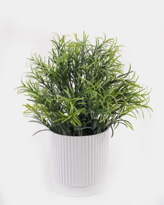 Artificial Table Plants 22*22*30cm Grass in PP pot GS-79925015 2025SEP YeahFlower is one of Chinese leading OEM manufacturers and exporters , supplying the silk flowers, wholesale artificial trees Artificial Table Plants 22*22*30cm Grass in PP pot GS-79925015 2025SEP YeahFlower is one of Chinese leading OEM manufacturers and exporters , supplying the silk flowers, wholesale artificial trees