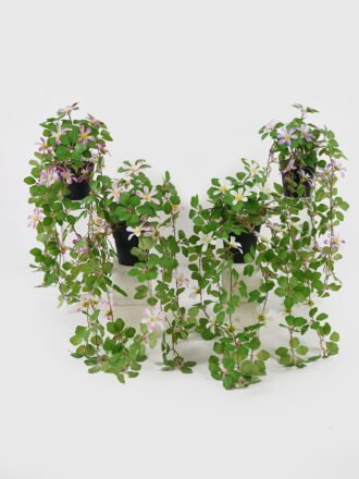 Artificial Table Plants 22*22*50cm Hanging wild flower in PP pot GS-03325029 2025JUL 3,000+ sqm showroom with thousands of artificial flowers, plants & trees ready for global sourcing.
