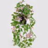 Artificial Table Plants 22*22*50cm Hanging wild flower in PP pot GS-03325028 2025JUL YeahFlower is one of Chinese leading OEM manufacturers and exporters , supplying the silk flowers, wholesale artificial trees