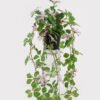 Artificial Table Plants 22*22*50cm Hanging wild flower in PP pot GS-03325028 2025JUL YeahFlower is one of Chinese leading OEM manufacturers and exporters , supplying the silk flowers, wholesale artificial trees