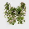 Artificial Table Plants 22*22*50cm Hanging wild flower in PP pot GS-03325029 2025JUL YeahFlower is one of Chinese leading OEM manufacturers and exporters , supplying the silk flowers, wholesale artificial trees