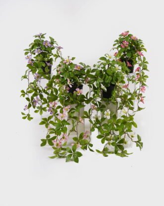 Artificial Table Plants 22*22*50cm Hanging wild flower in PP pot GS-03325029 2025JUL YeahFlower is one of Chinese leading OEM manufacturers and exporters , supplying the silk flowers, wholesale artificial trees Artificial Table Plants 22*22*50cm Hanging wild flower in PP pot GS-03325029 2025JUL YeahFlower is one of Chinese leading OEM manufacturers and exporters , supplying the silk flowers, wholesale artificial trees