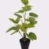 Artificial Table Plants 35*23*52cm Horseshoe Leaf  in PP pot GS-46725045 2025JUL YeahFlower is one of Chinese leading OEM manufacturers and exporters , supplying the silk flowers, wholesale artificial trees