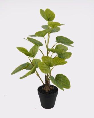Artificial Table Plants 35*23*52cm Horseshoe Leaf in PP pot GS-46725045 2025JUL YeahFlower is one of Chinese leading OEM manufacturers and exporters , supplying the silk flowers, wholesale artificial trees Artificial Table Plants 35*23*52cm Horseshoe Leaf in PP pot GS-46725045 2025JUL YeahFlower is one of Chinese leading OEM manufacturers and exporters , supplying the silk flowers, wholesale artificial trees