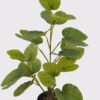 Artificial Table Plants 35*23*52cm Horseshoe Leaf  in PP pot GS-46725045 2025JUL YeahFlower is one of Chinese leading OEM manufacturers and exporters , supplying the silk flowers, wholesale artificial trees